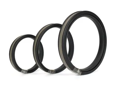 ซีลลูกสูบรักษาการสองตัวขนาดกะทัดรัด